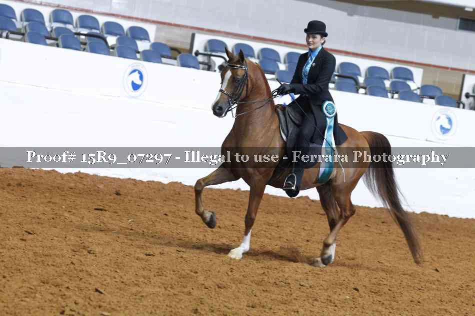 Proof 15R9_07297