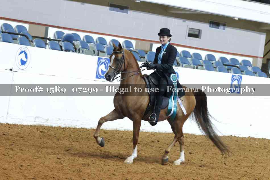 Proof 15R9_07299