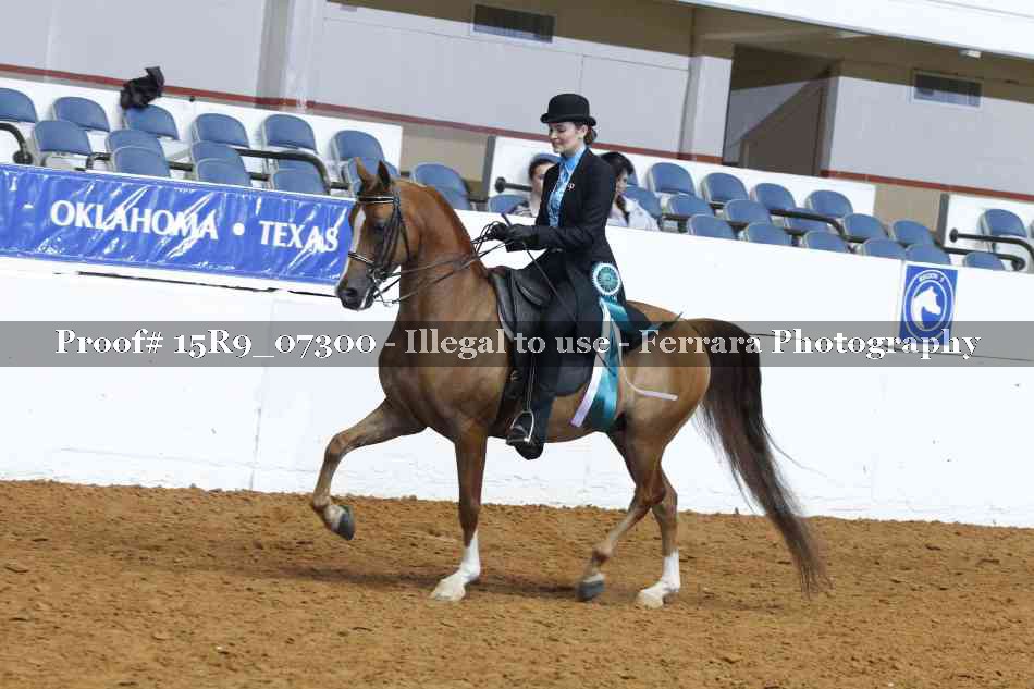 Proof 15R9_07300