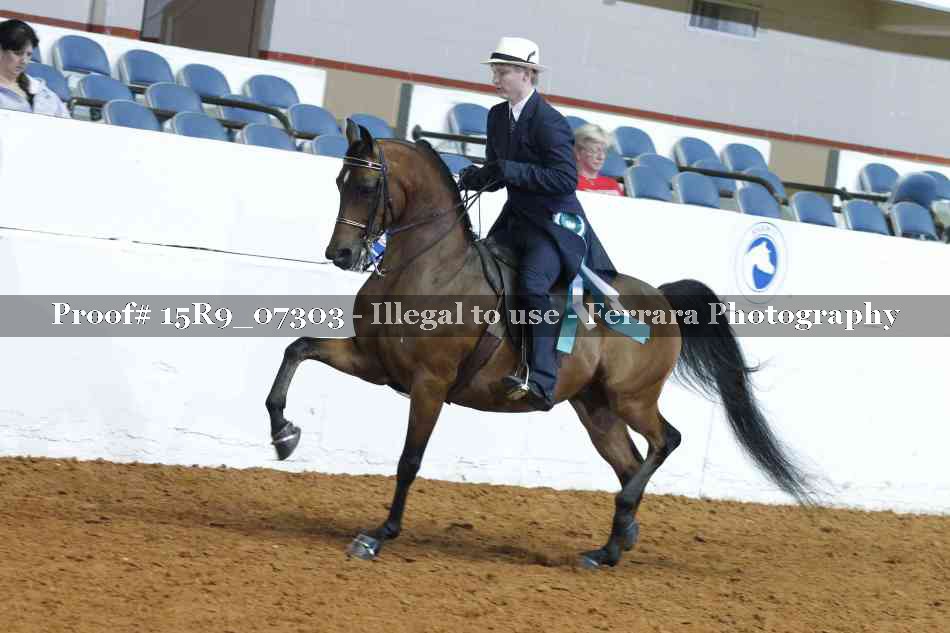 Proof 15R9_07303