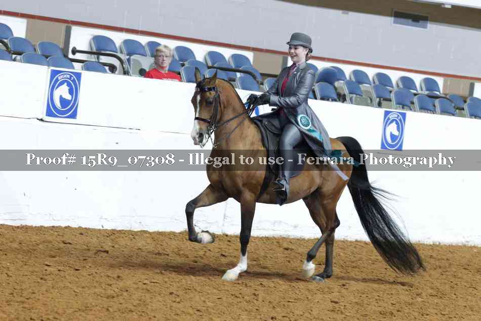 Proof 15R9_07308