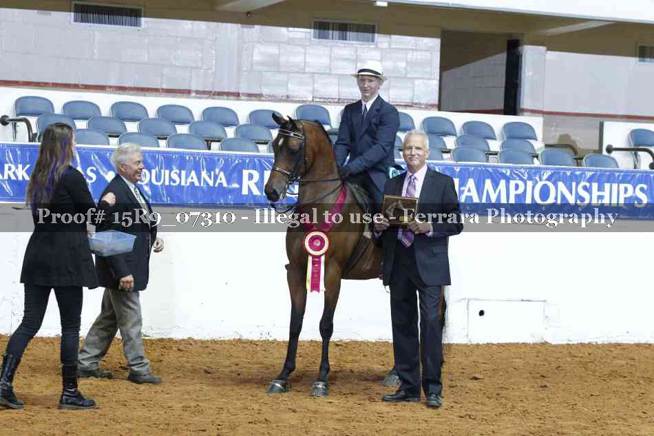 Proof 15R9_07310