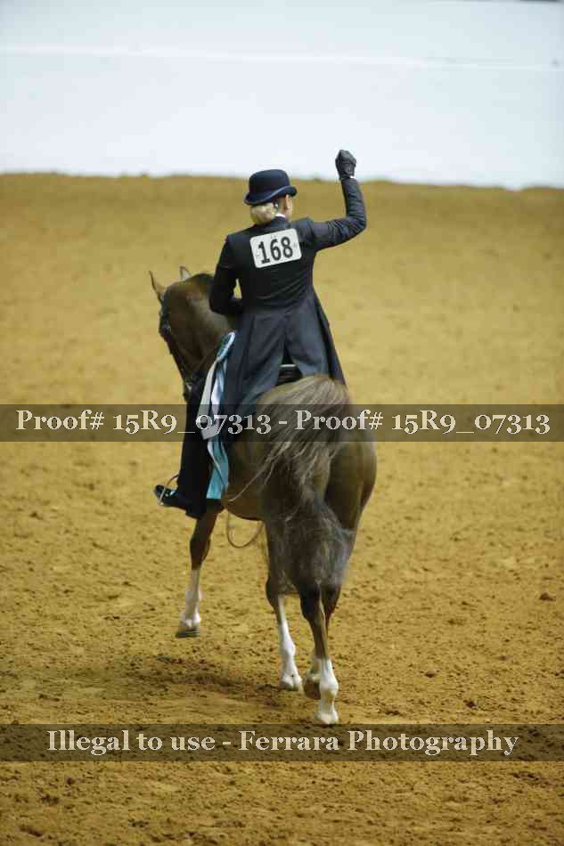 Proof 15R9_07313