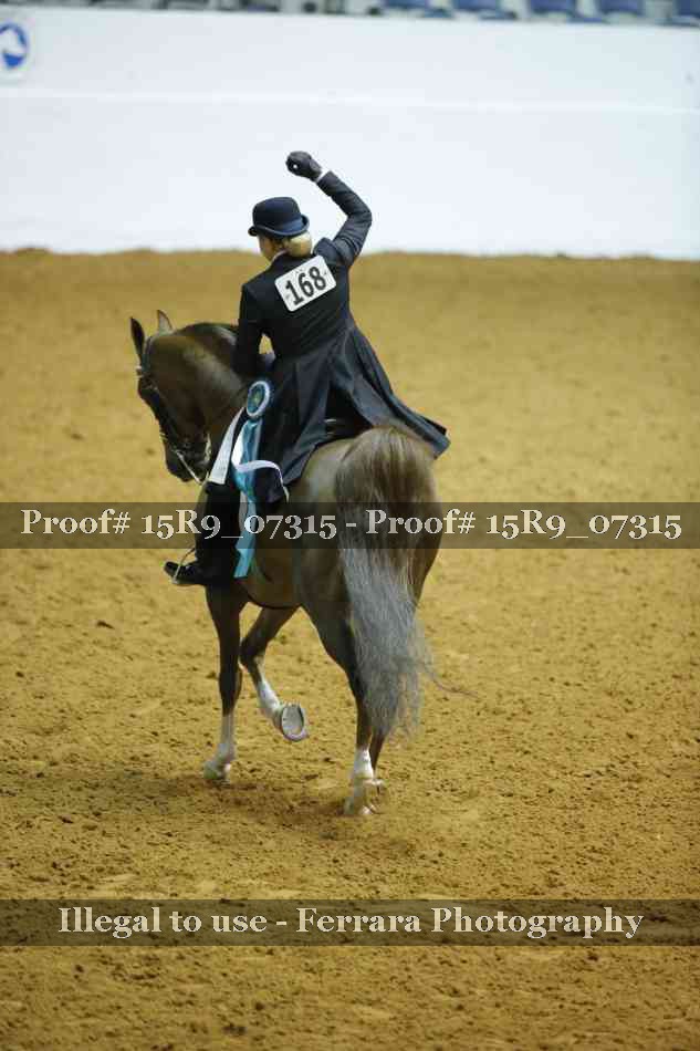 Proof 15R9_07315