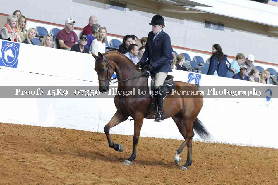 Proof 15R9_07350