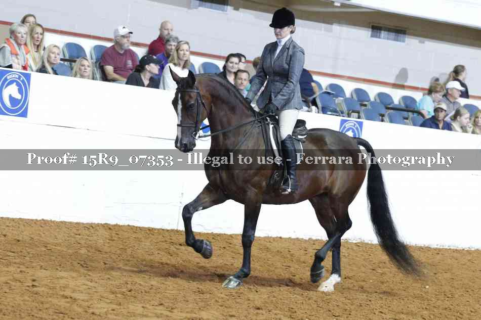 Proof 15R9_07353