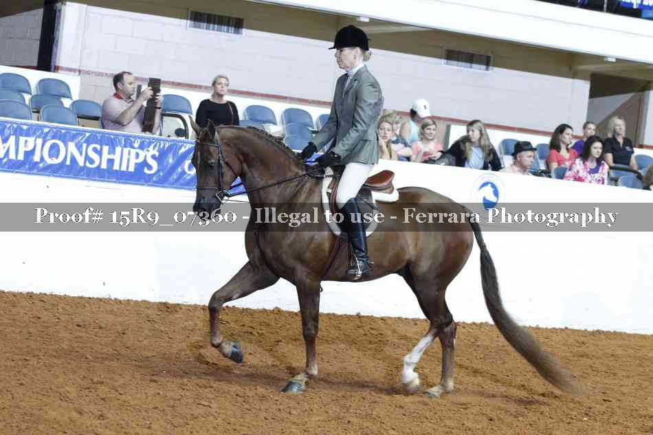Proof 15R9_07360
