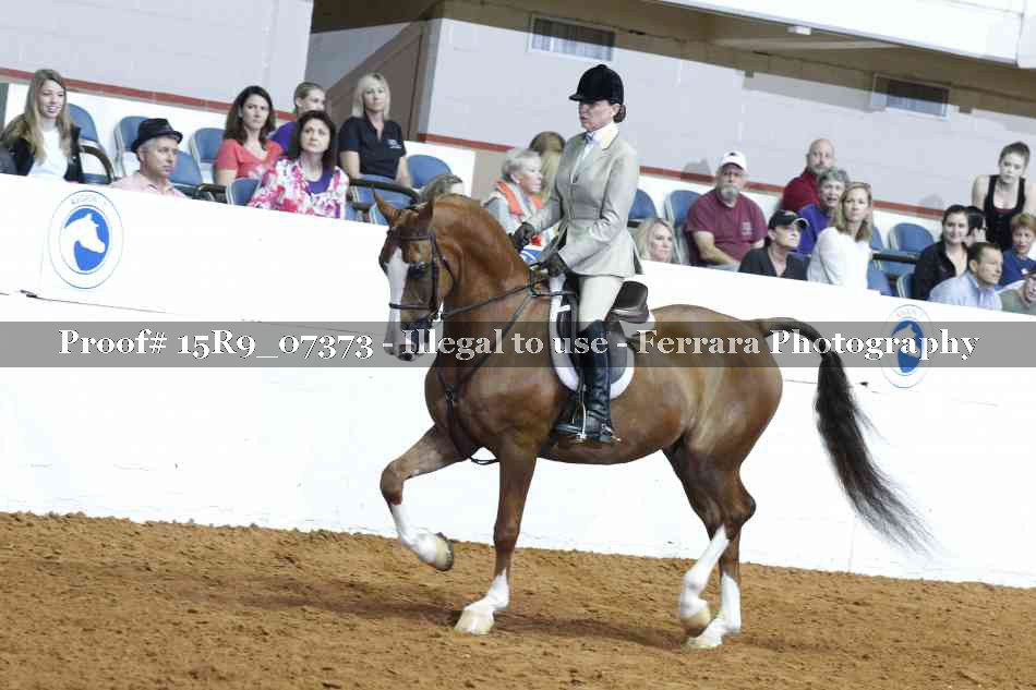 Proof 15R9_07373