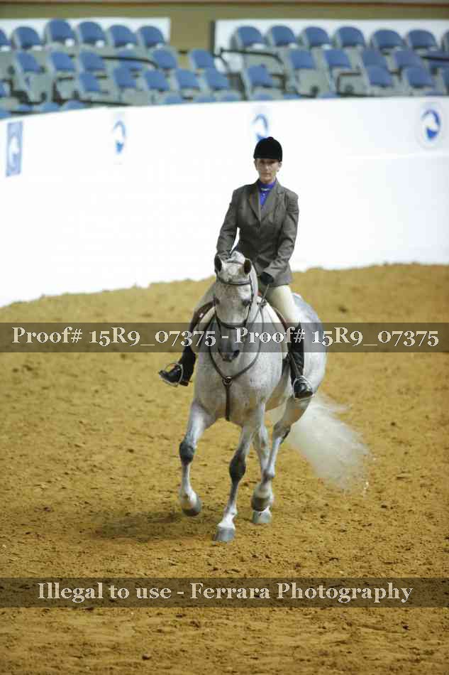 Proof 15R9_07375