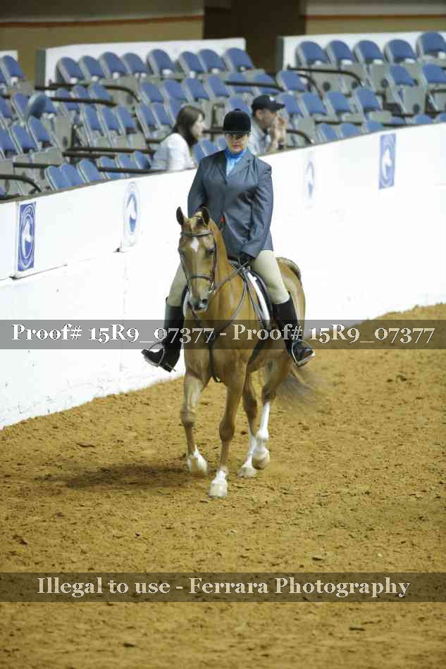 Proof 15R9_07377