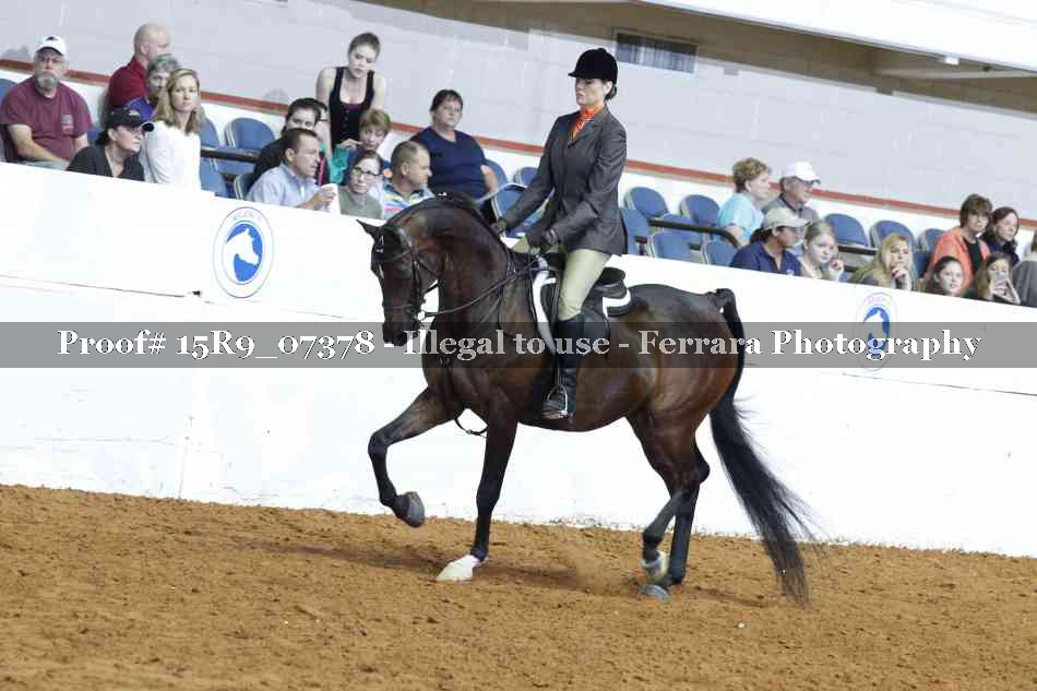 Proof 15R9_07378
