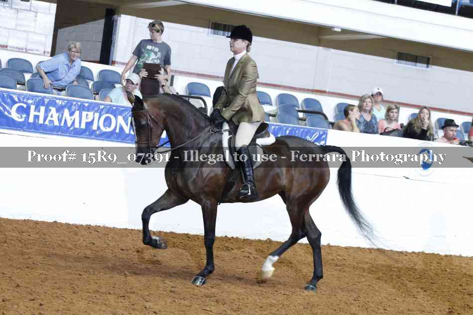 Proof 15R9_07391