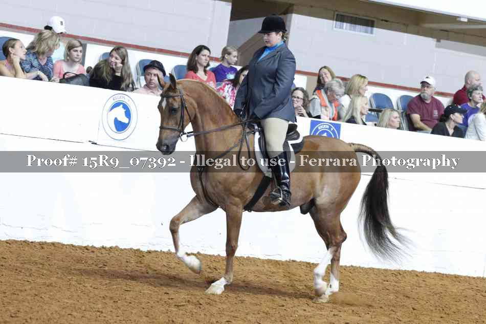 Proof 15R9_07392