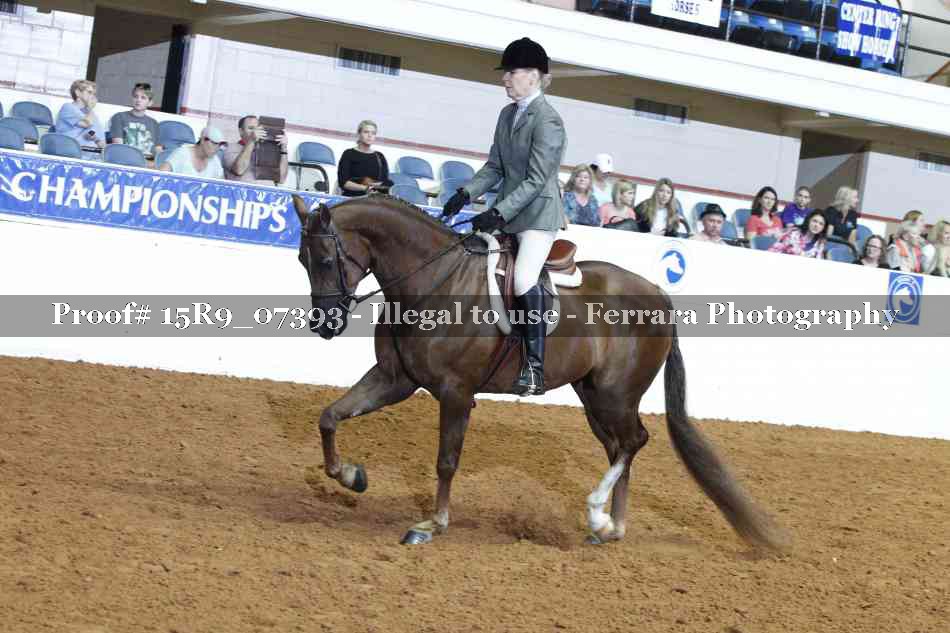 Proof 15R9_07393