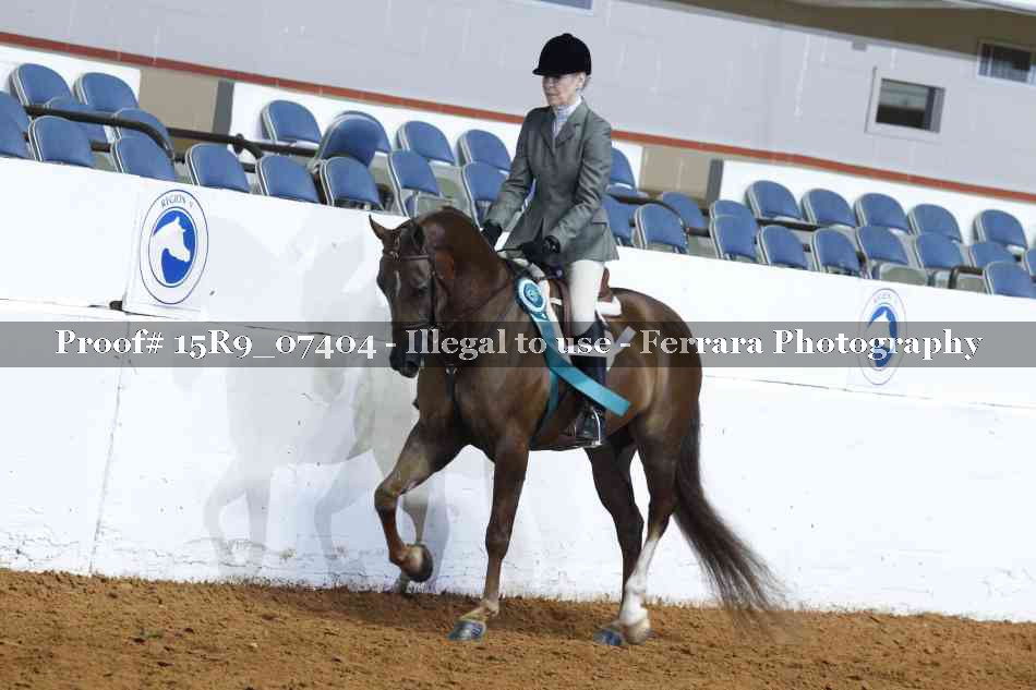 Proof 15R9_07404