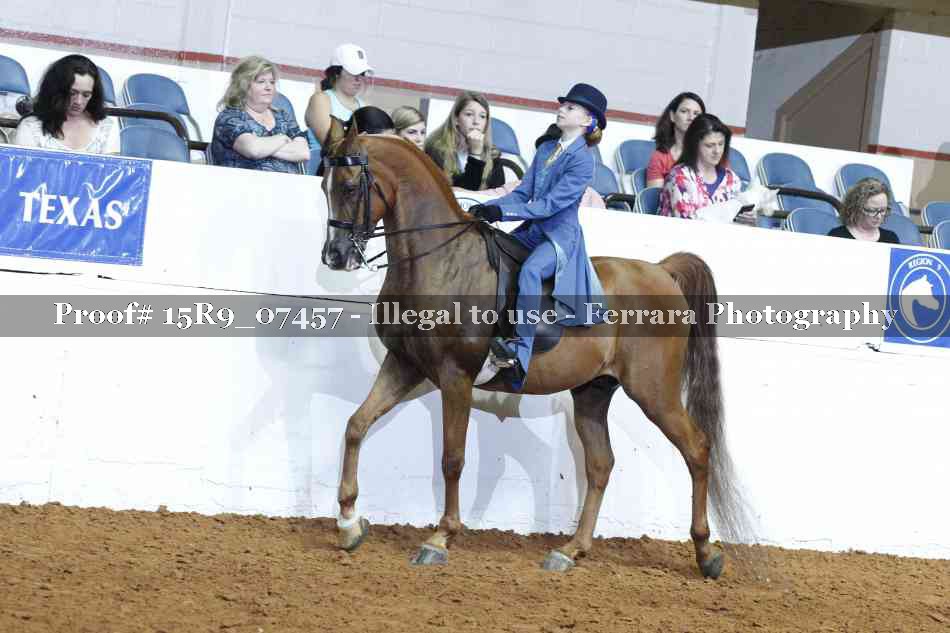 Proof 15R9_07457