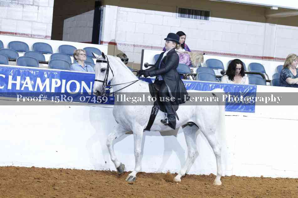 Proof 15R9_07459