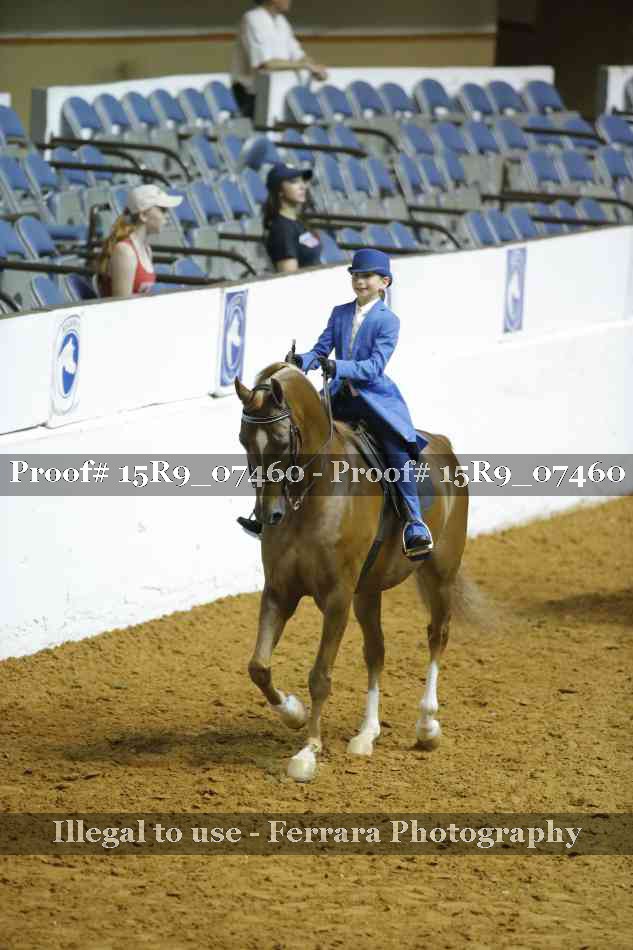 Proof 15R9_07460