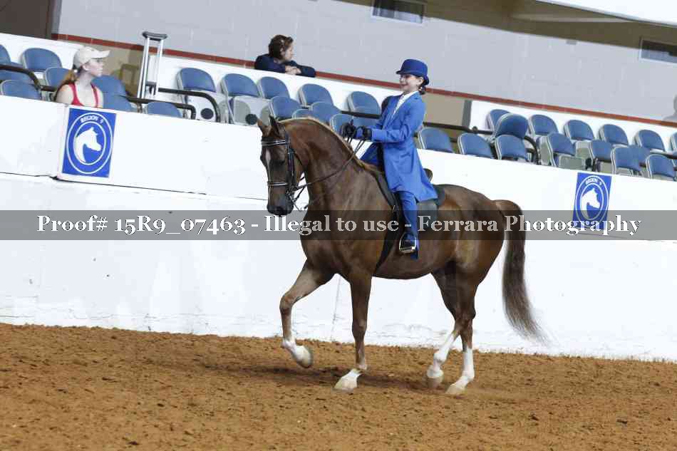 Proof 15R9_07463