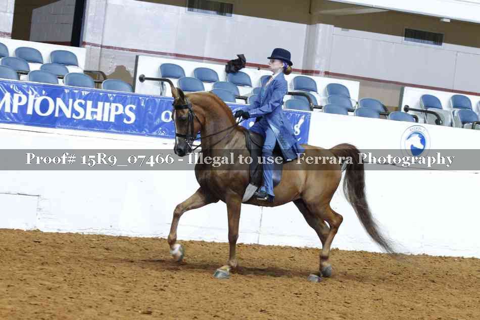 Proof 15R9_07466