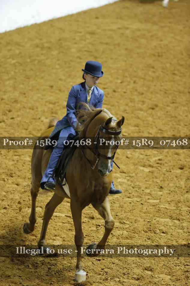 Proof 15R9_07468