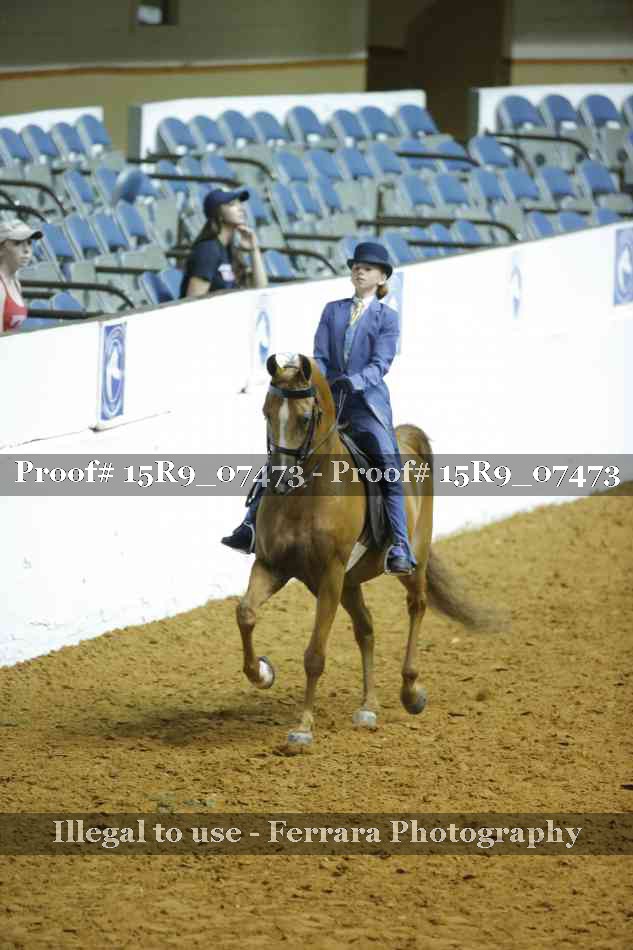 Proof 15R9_07473