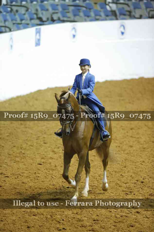 Proof 15R9_07475