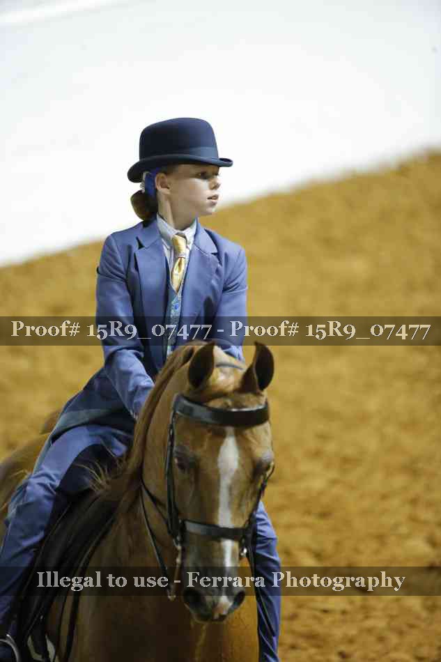 Proof 15R9_07477