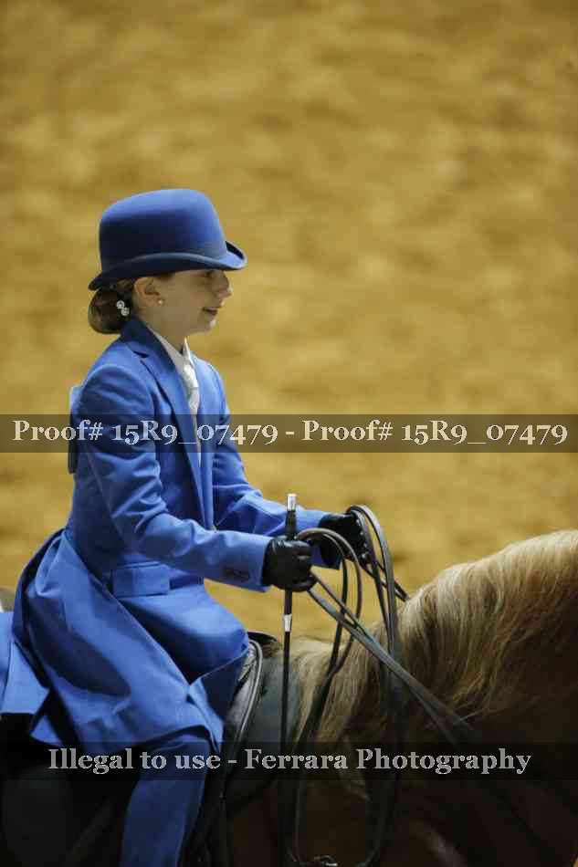 Proof 15R9_07479