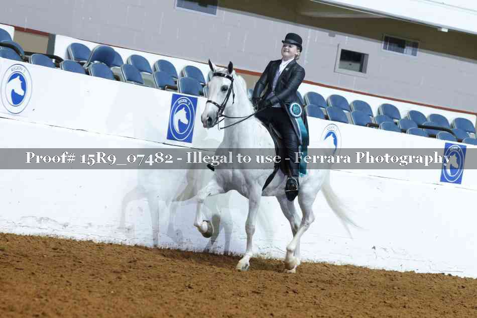 Proof 15R9_07482