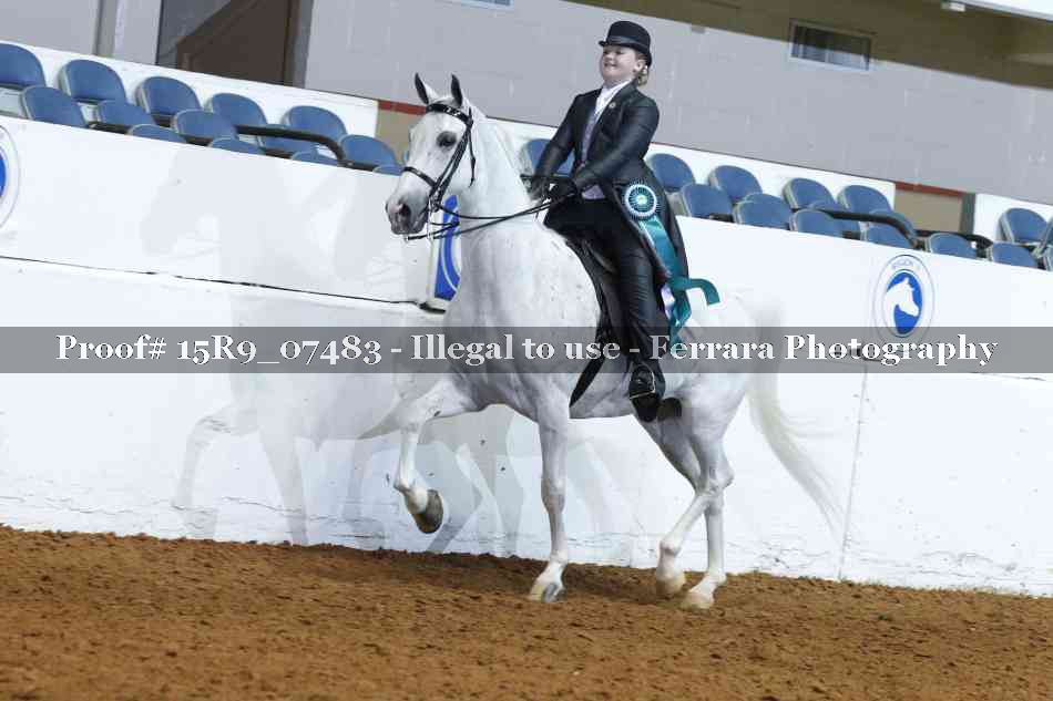 Proof 15R9_07483
