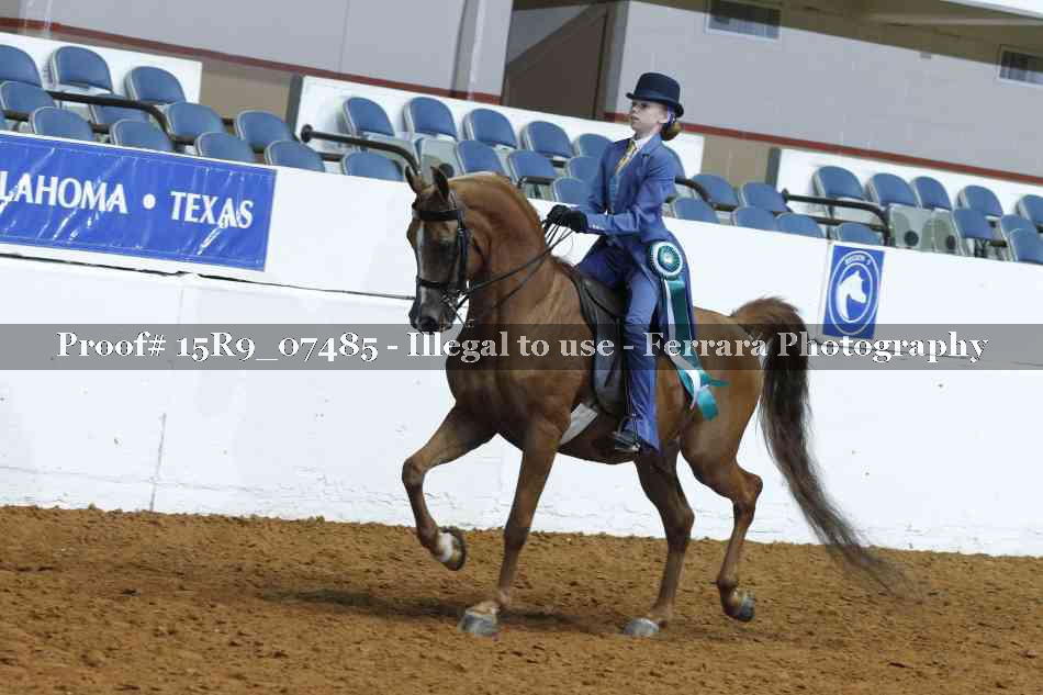Proof 15R9_07485