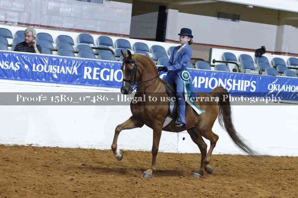 Proof 15R9_07486