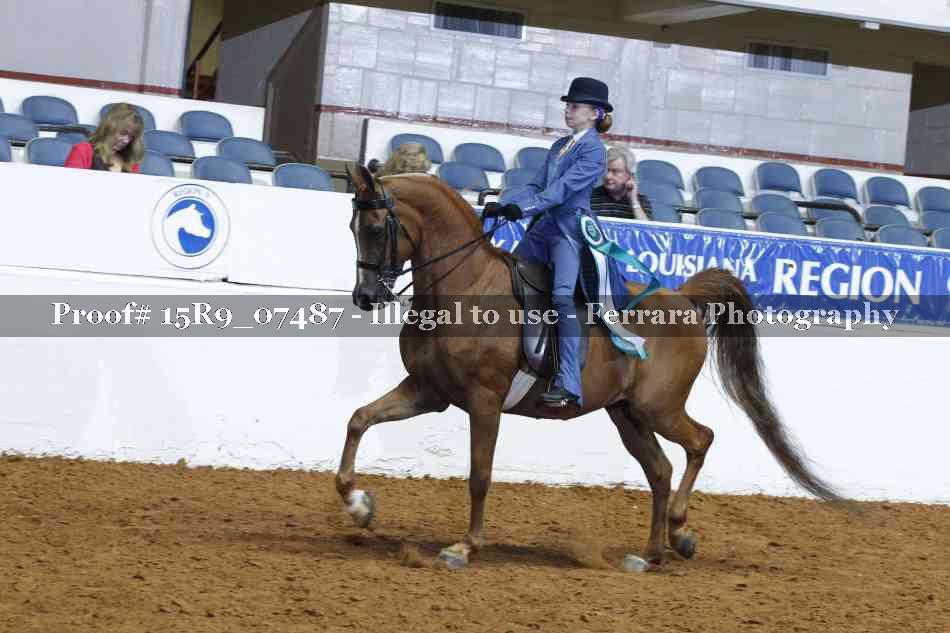 Proof 15R9_07487