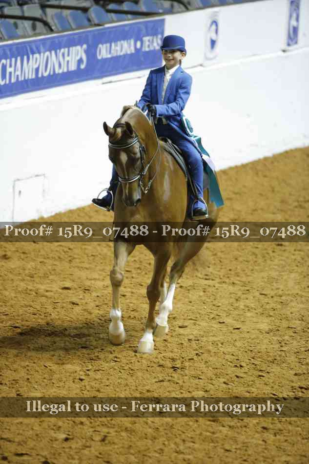 Proof 15R9_07488