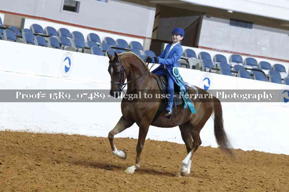 Proof 15R9_07489