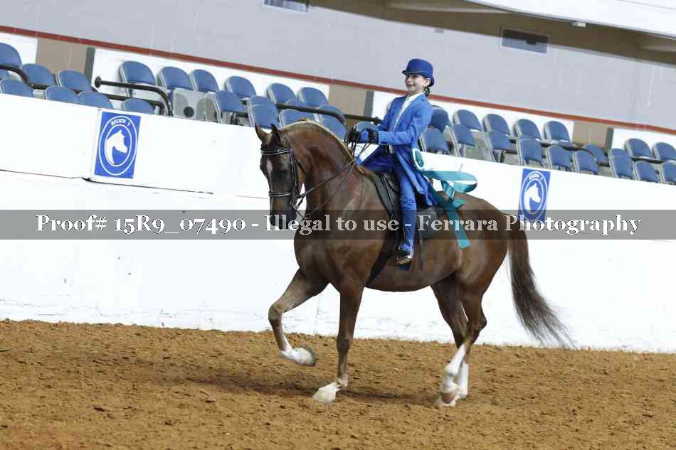 Proof 15R9_07490