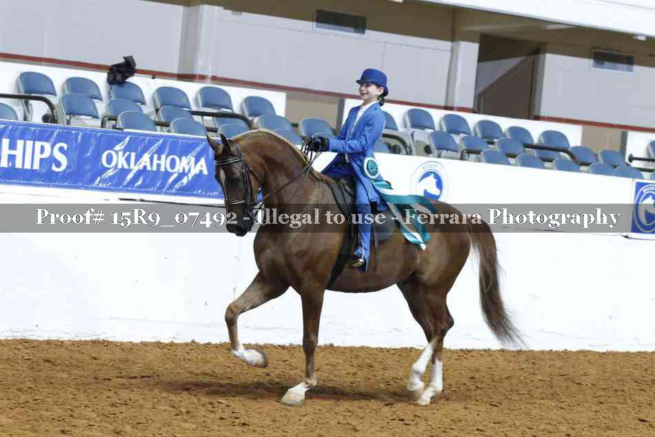 Proof 15R9_07492