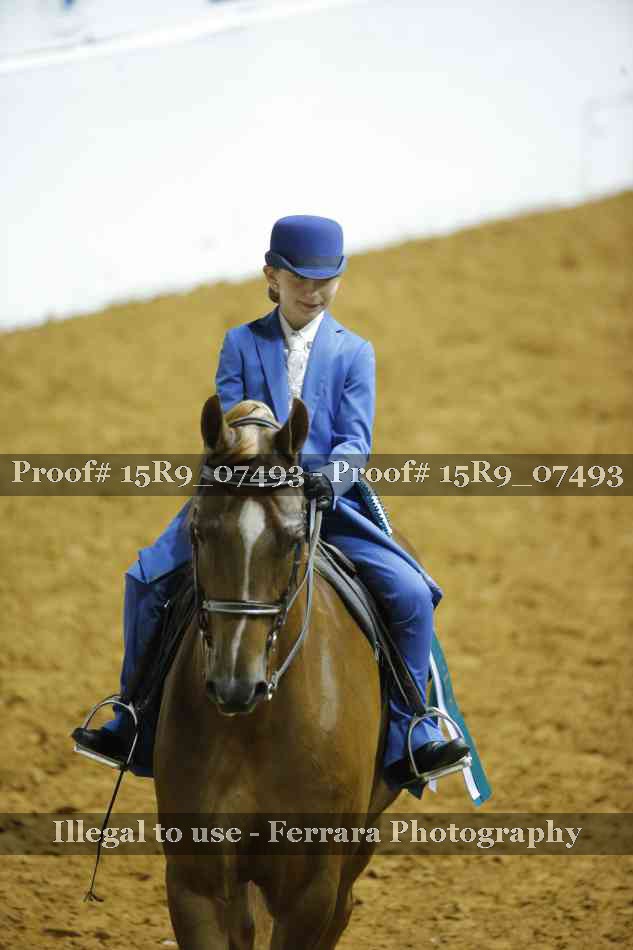 Proof 15R9_07493