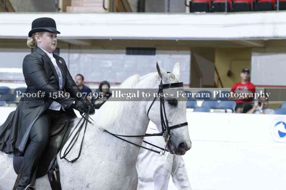 Proof 15R9_07495