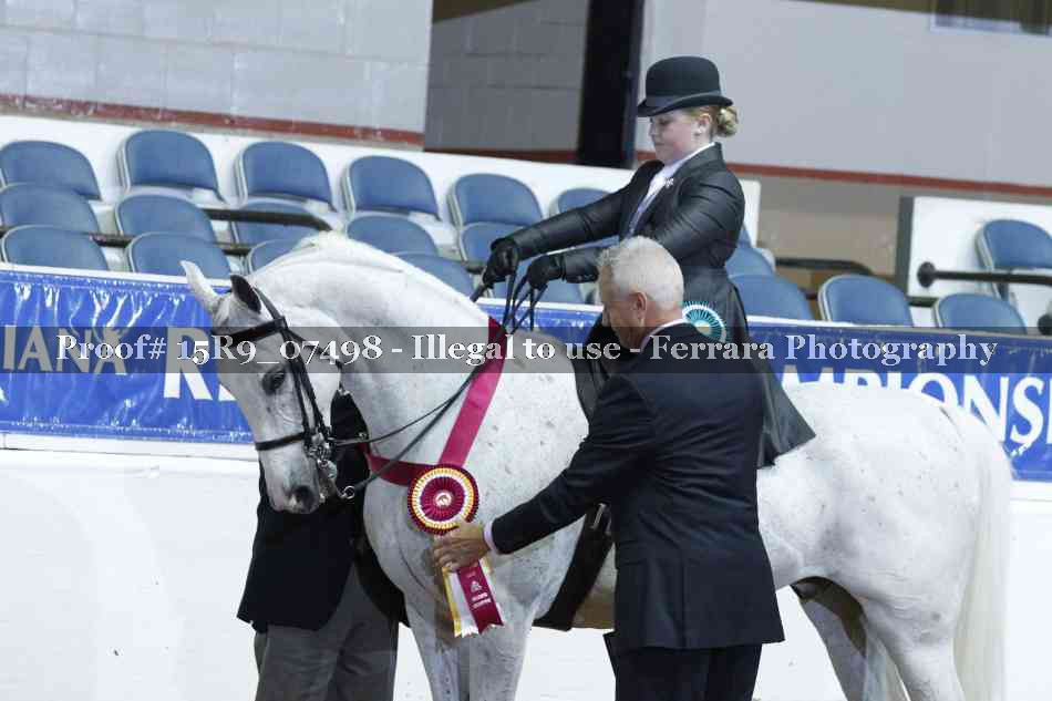 Proof 15R9_07498