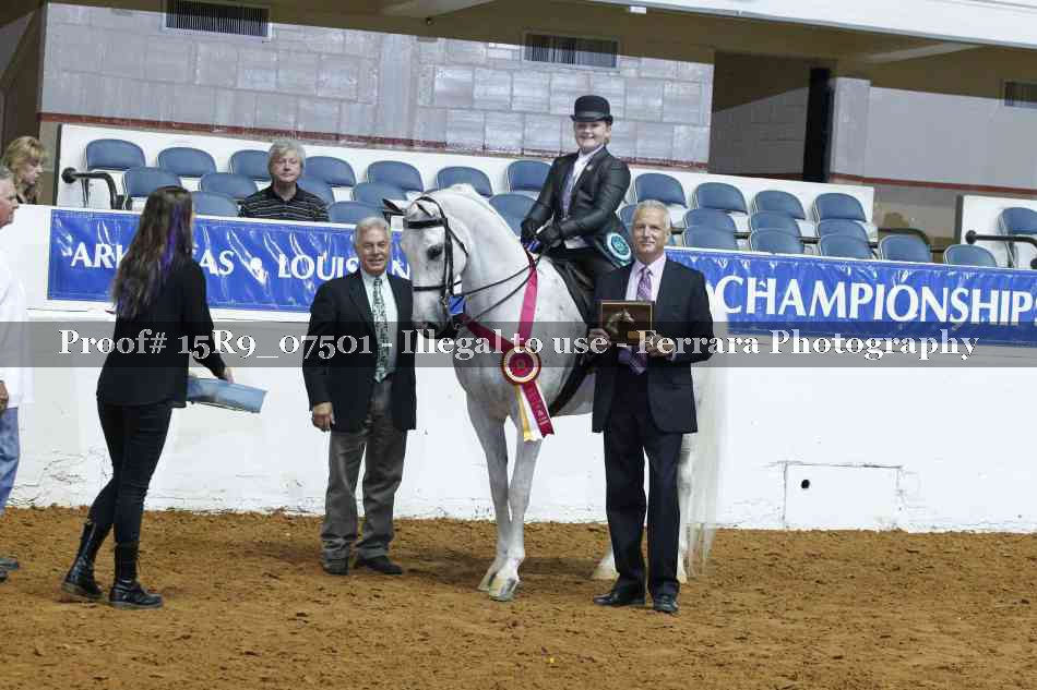 Proof 15R9_07501