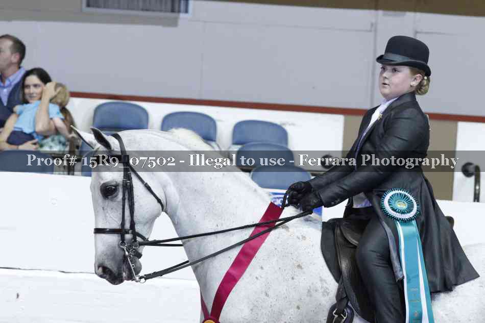 Proof 15R9_07502