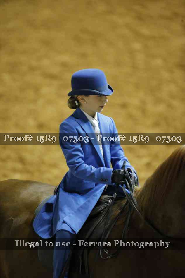 Proof 15R9_07503