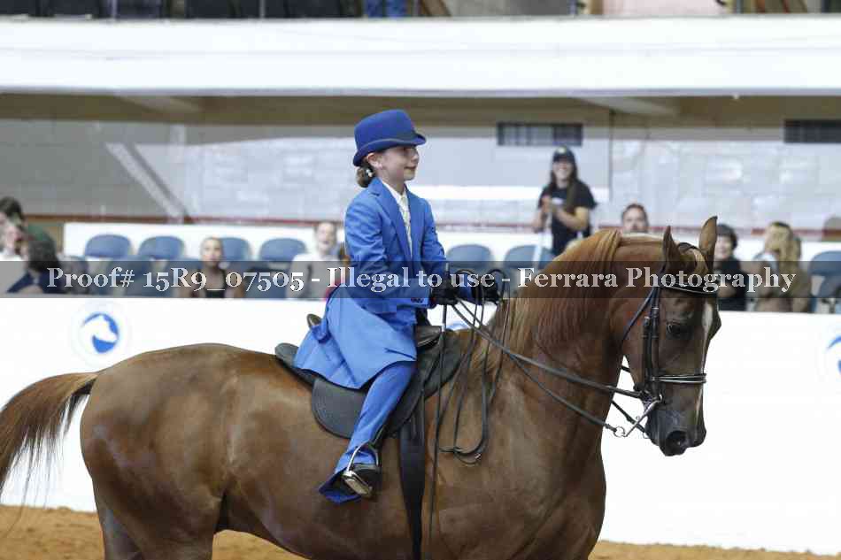 Proof 15R9_07505