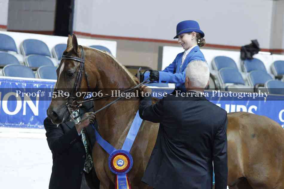 Proof 15R9_07506