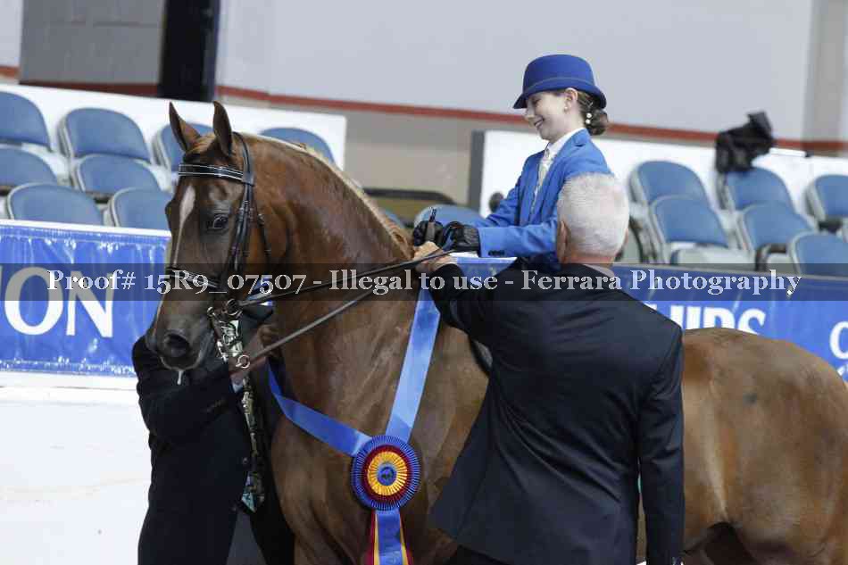 Proof 15R9_07507