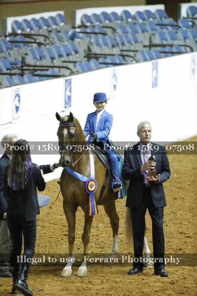 Proof 15R9_07508