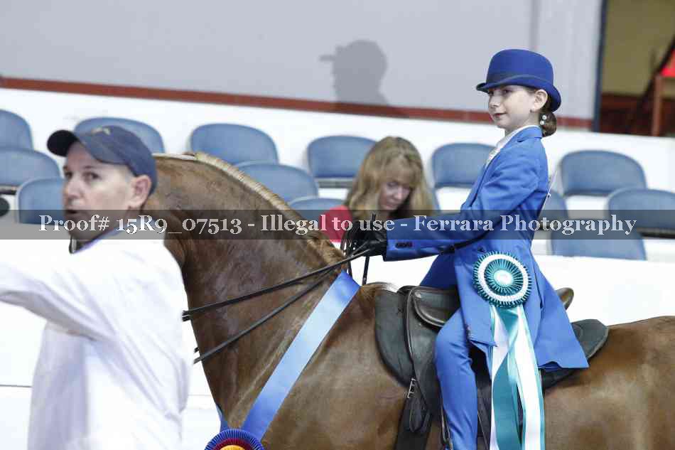 Proof 15R9_07513