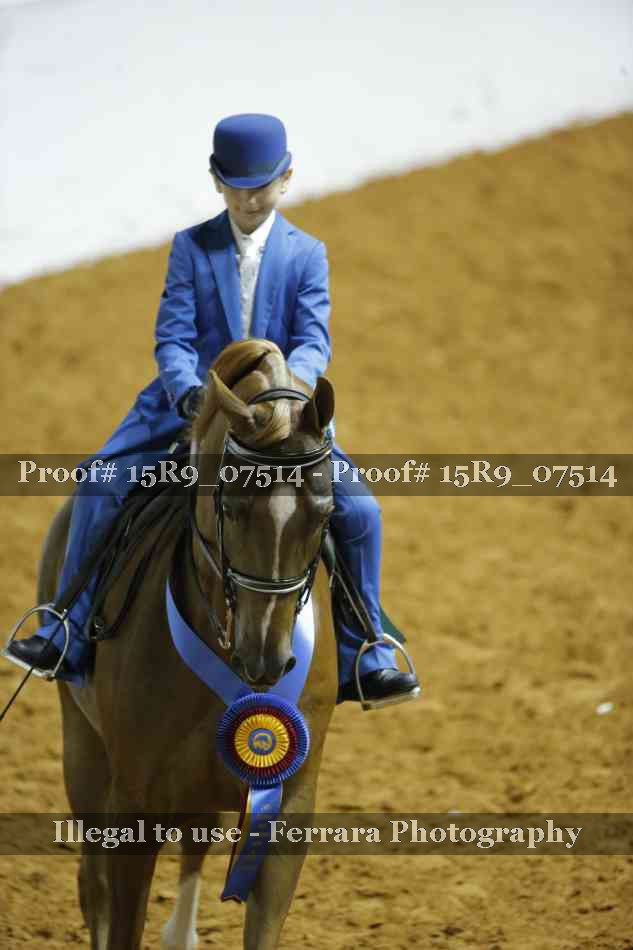 Proof 15R9_07514